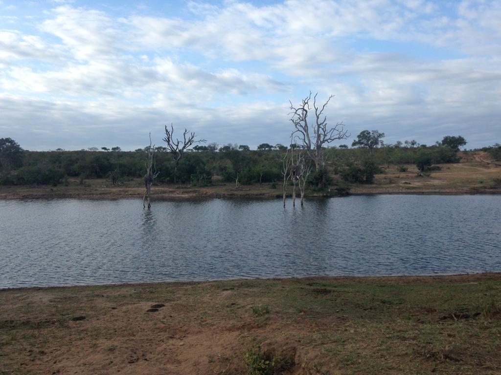 Sweni Lodge 91 Mjejane Kruger Park Hectorspruit Exterior photo